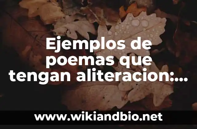Ejemplos de poemas que tengan aliteracion: Definición según Autor, ¿qué es?
