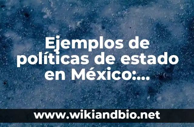 Ejemplos de políticas de estado en México: Definición según Autor, ¿qué es?