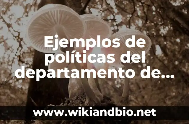 Ejemplos de políticas del departamento de finanzas de una empresa