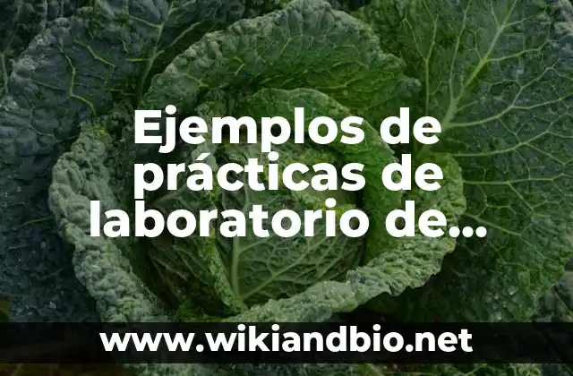 Ejemplos de prácticas de laboratorio de química