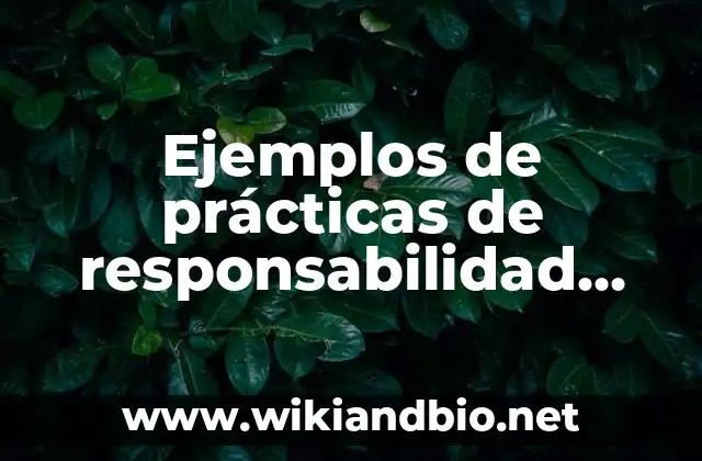 Ejemplos de prácticas de responsabilidad social empresarial: Definición según Autor, qué es, Concepto y Significado