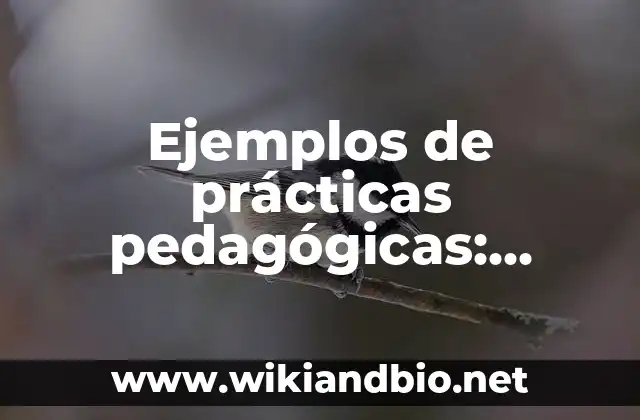 Ejemplos de prácticas pedagógicas