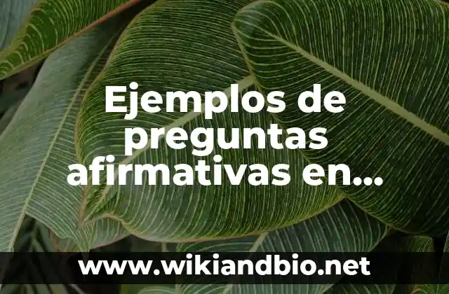 Ejemplos de preguntas afirmativas en inglés: Definición según Autor, qué