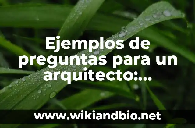 Ejemplos de preguntas para un arquitecto: Definición según Autor, ¿qué es?