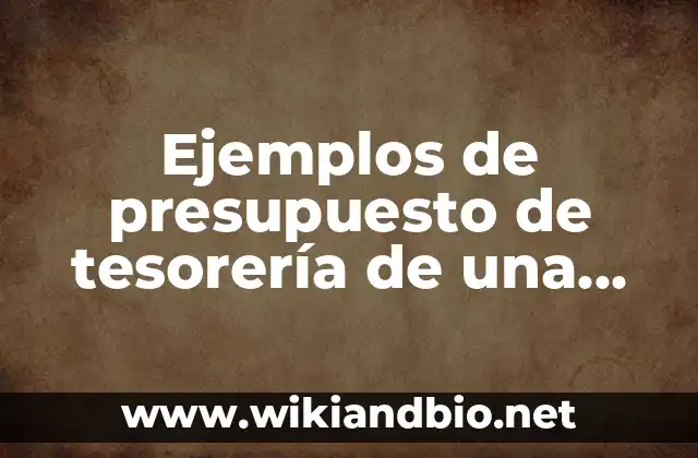 Ejemplos de presupuesto de tesorería de una empresa: Definición según