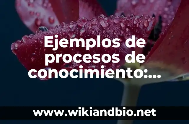 Ejemplos de procesos de conocimiento
