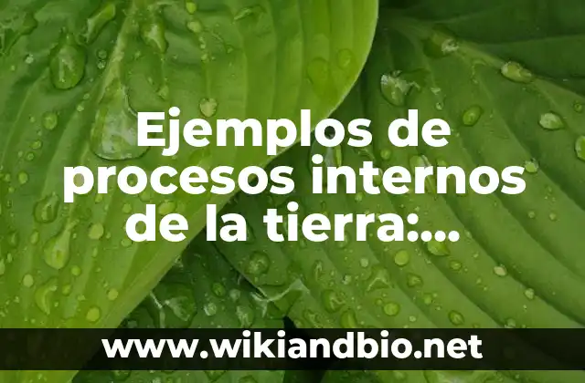Ejemplos de procesos internos de la Tierra