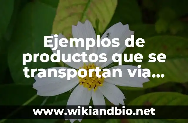 Ejemplos de productos que se transportan via terrestre en México