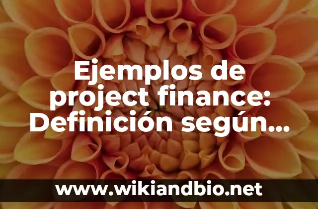 Ejemplos de project finance: Definición según Autor, qué es, Concepto