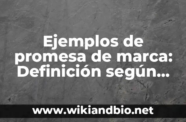 Ejemplos de promesa de marca: Definición según Autor, qué es, Concepto