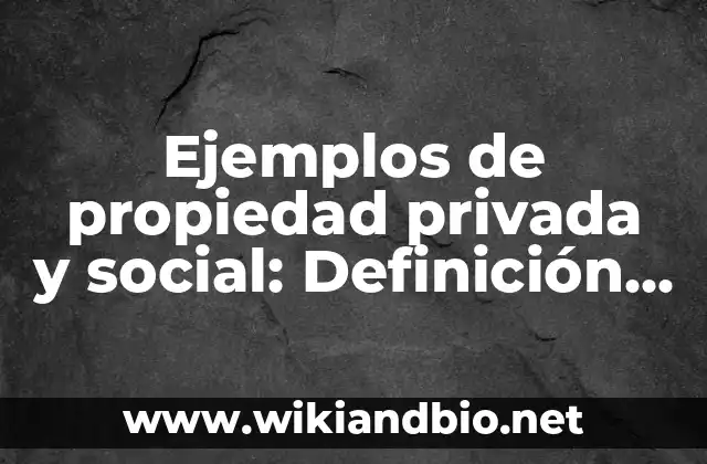 Ejemplos de propiedad privada y social: Definición según Autor, ¿qué es?