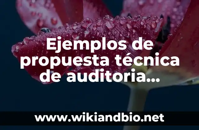 Ejemplos de propuesta técnica de auditoria administrativa: Definición según