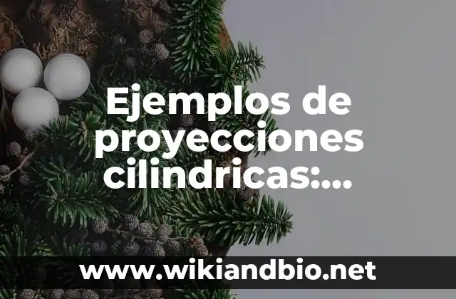 Ejemplos de proyecciones cilindricas: Definición según Autor, qué es, Concepto y Significado