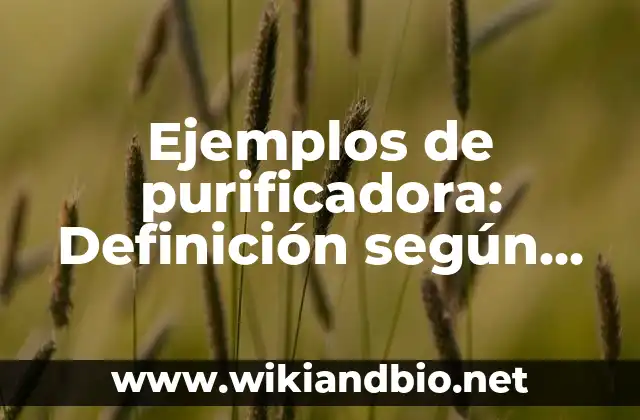 Ejemplos de purificadora: Definición según Autor, qué es, Concepto