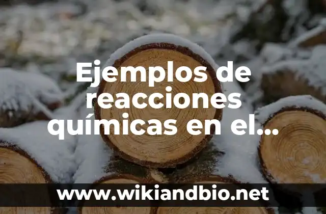 Ejemplos de reacciones químicas en el cuerpo humano con explicación: Definición según Autor, qué es, Concepto y Significado