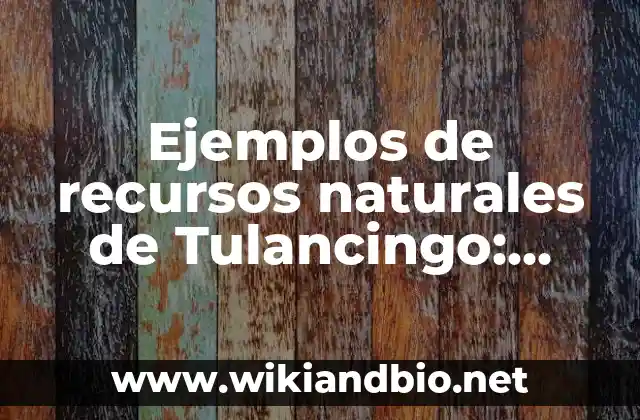 Ejemplos de recursos naturales de Tulancingo: Definición según Autor, qué