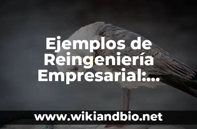 Ejemplos de Reingeniería Empresarial: Definición según Autor, ¿qué es?