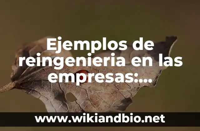 Ejemplos de reingenieria en las empresas: Definición según Autor, ¿qué es?