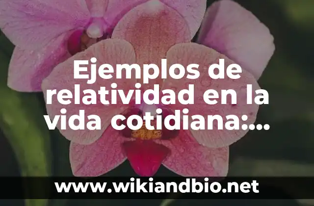 Ejemplos de relatividad en la vida cotidiana: Definición según Autor, qué es, Concepto y Significado