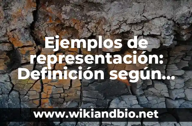 Ejemplos de representación