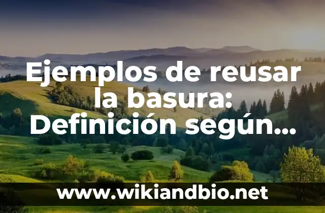 Ejemplos de reusar la basura: Definición según Autor, qué es, Concepto