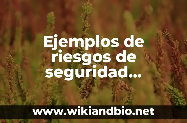 Ejemplos de riesgos de seguridad industrial: Definición según Autor, qué