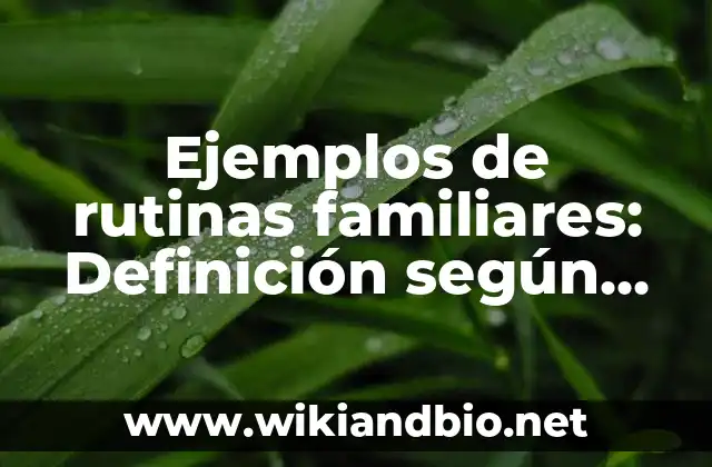 Ejemplos de rutinas familiares