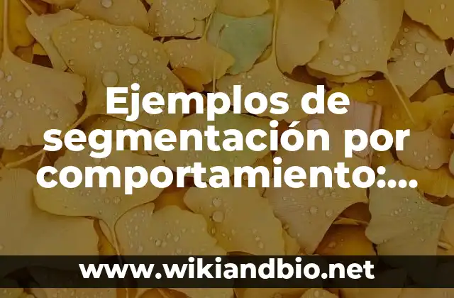 Ejemplos de segmentación por comportamiento: Definición según Autor, qué