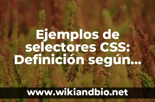 Ejemplos de selectores CSS: Definición según Autor, qué es, Concepto