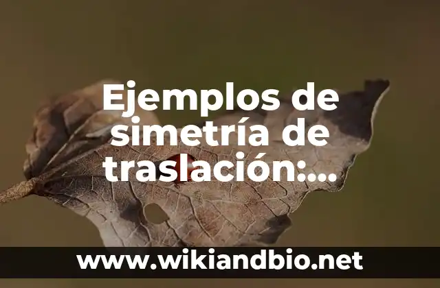 Ejemplos de simetría de traslación: Definición según Autor, ¿qué es?