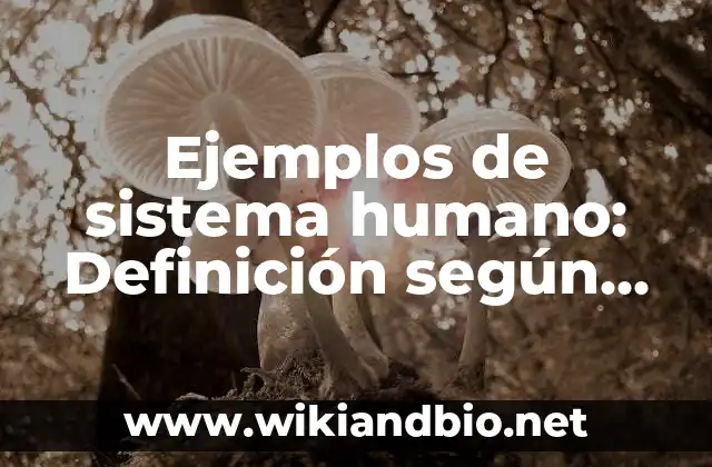 Ejemplos de sistema humano: Definición según Autor, qué es, Concepto