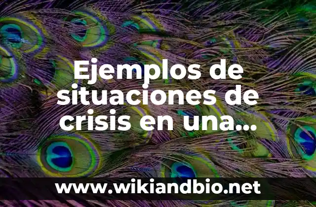 Ejemplos de situaciones de crisis en una empresa: Definición según Autor