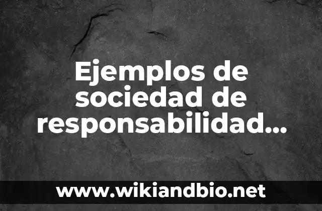 Ejemplos de sociedad de responsabilidad limitada