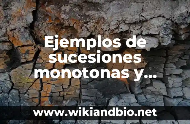 Ejemplos de sucesiones monótonas y acotadas