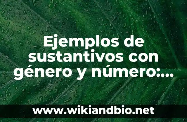 Ejemplos de sustantivos con género y número