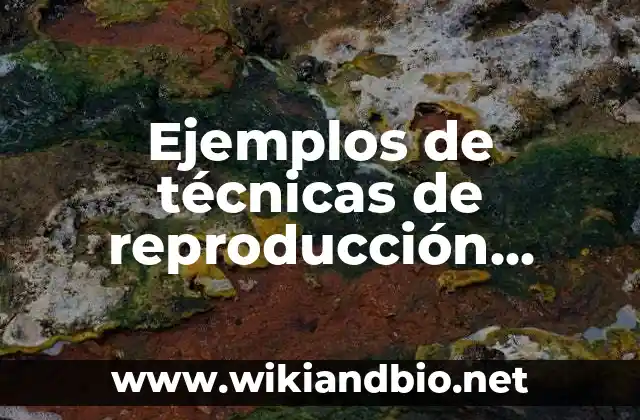 Ejemplos de técnicas de reproducción asistida: Definición según Autor, qué