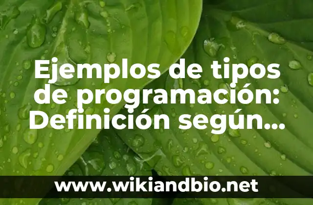 Ejemplos de tipos de programación: Definición según Autor, qué es, Concepto