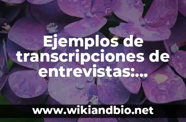 Ejemplos de transcripciones de entrevistas: Definición según Autor, qué es, Concepto y Significado