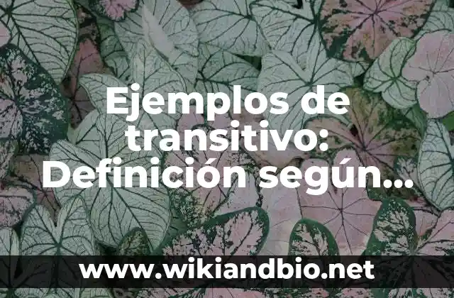 Ejemplos de transitivo: Definición según Autor, qué es, Concepto