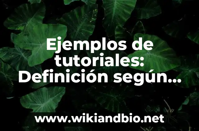 Ejemplos de tutoriales
