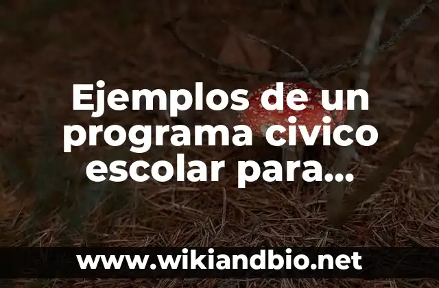 Ejemplos de un programa civico escolar para primaria: Definición según Autor, qué es, Concepto y Significado