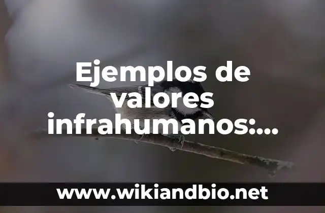 Ejemplos de valores infrahumanos