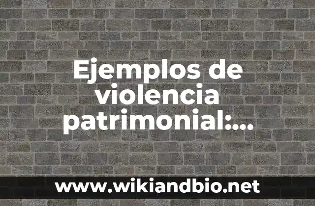 Ejemplos de violencia patrimonial: Definición según Autor, qué es, Concepto