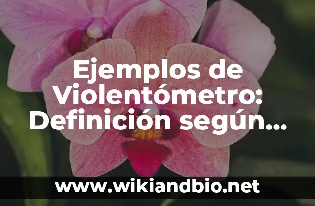 Ejemplos de Violentómetro