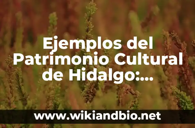 Ejemplos del Patrimonio Cultural de Hidalgo: Definición según Autor, qué