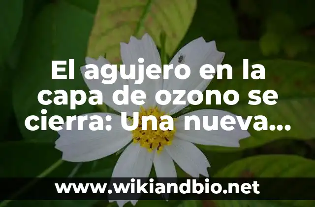 ¿Qué es la capa de ozono y por qué es importante?