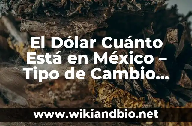 El Dólar Cuánto Está en México – Tipo de Cambio Actualizado