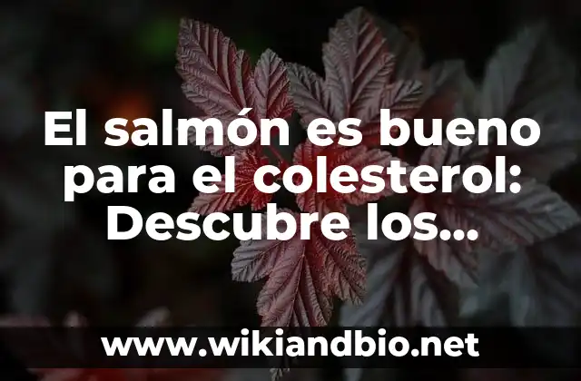El salmón es bueno para el colesterol: Descubre los beneficios