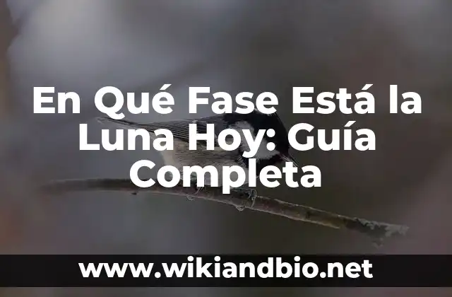 En Qué Fase Está la Luna Hoy: Guía Completa
