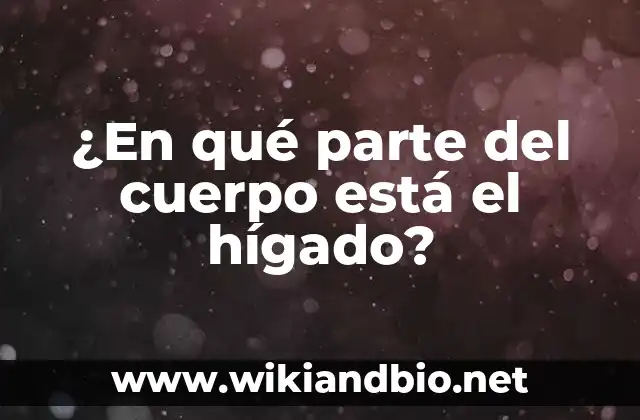 ¿En qué parte del cuerpo está el hígado?